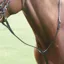 Velociti GARA Standing Martingale - Brown